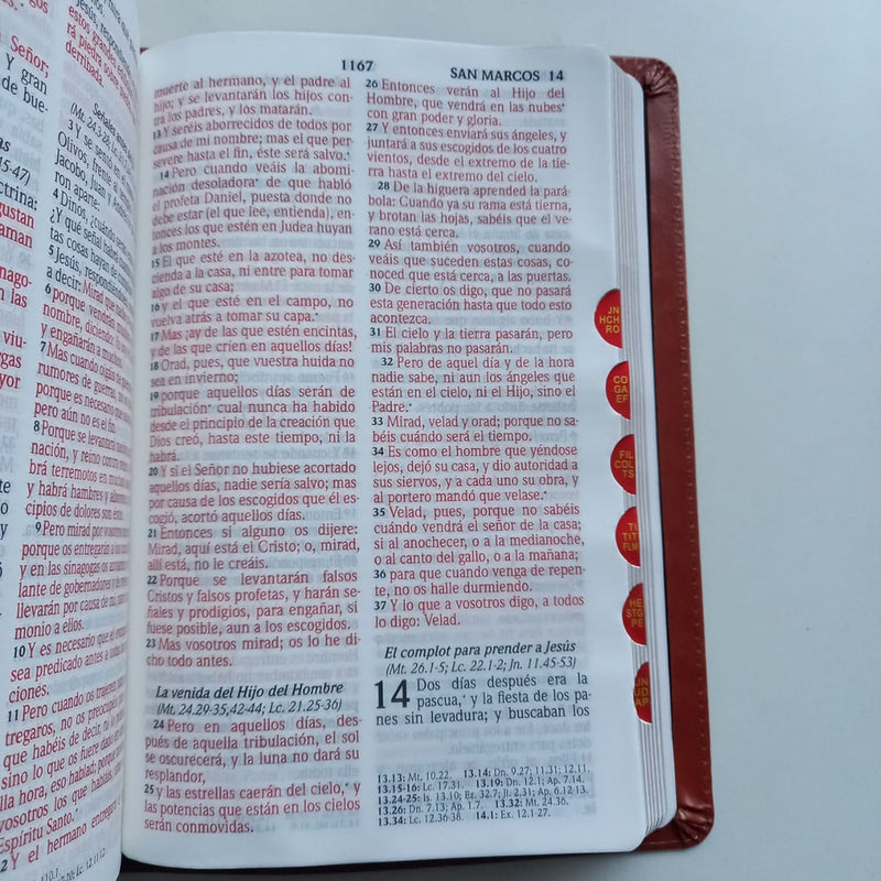 Santa Biblia Tamaño Manual Letra Grande / Café RVR1960
