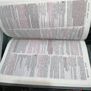 Biblia de Promesas NTV Juvenil Gris/Azul