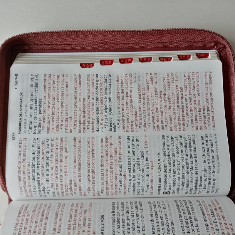 Biblia Letra Grande Tamaño Manual con referencias /café RVR1960