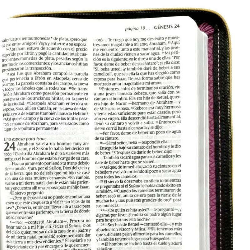 Santa Biblia NTV, Edición zíper (SentiPiel, Fucsia)