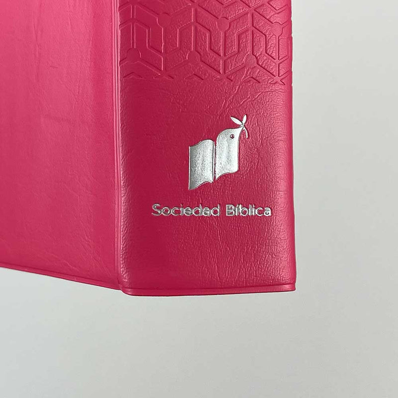 Biblia RVR60 bolsillo vinilo rosa con borde rosa