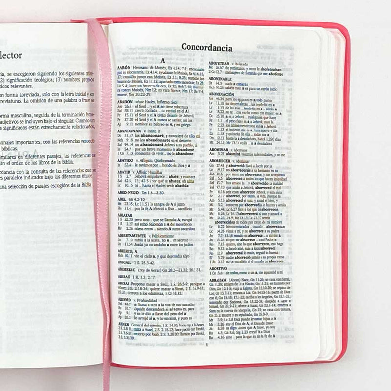 Biblia RVR60 bolsillo vinilo rosa con borde rosa