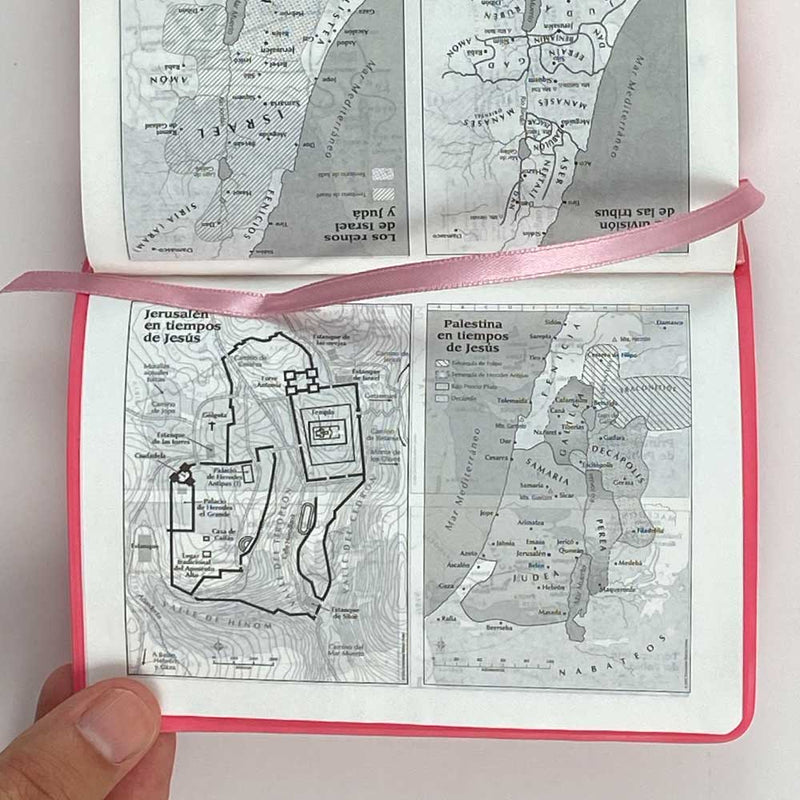 Biblia RVR60 bolsillo vinilo rosa con borde rosa