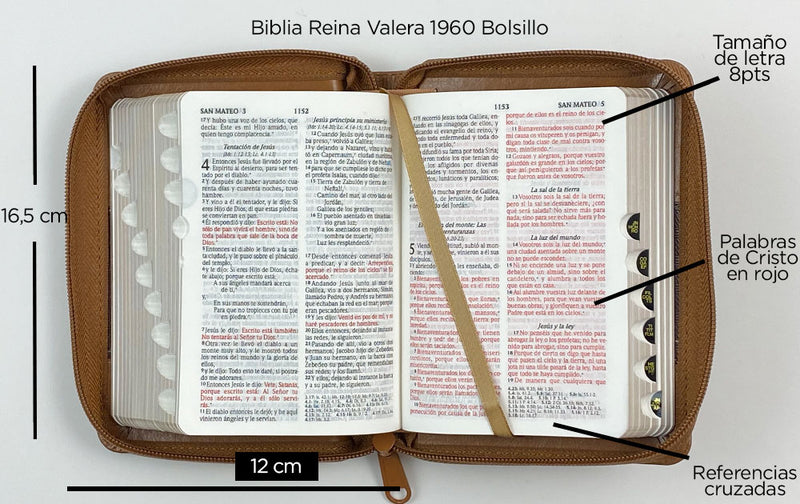 Biblia RVR60 bolsillo cierre indice dos tonos marrón