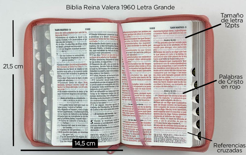 Biblia RVR60 Letra grande tamaño manual cierre índice rosa/café (floral)