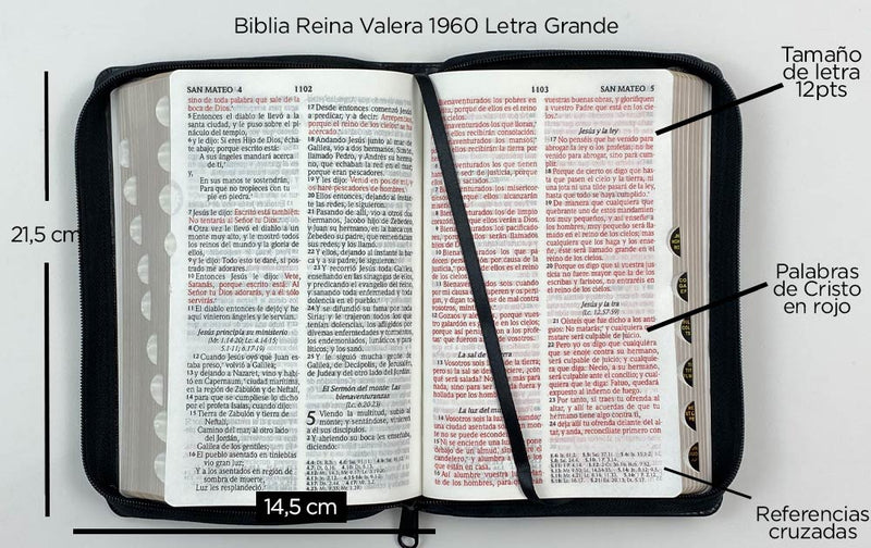 Biblia RVR60 Letra grande tamaño manual cierre índice negro/marrón