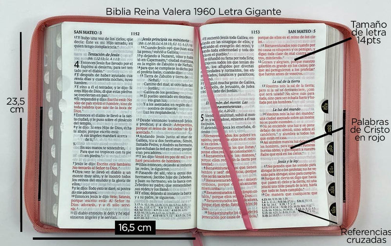 Biblia RVR60 Letra Gigante cierre indice rosa/café (floral)