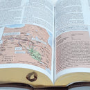 RVR 1960 Biblia de Estudio Holman, castaño/verde bosque con filigrana simil piel