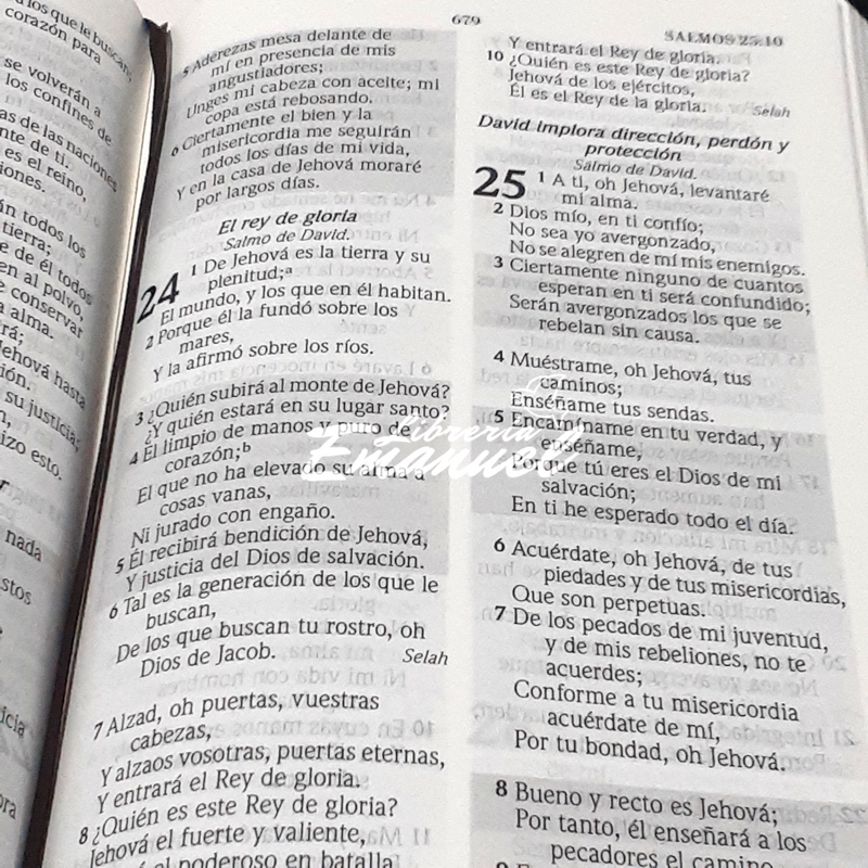 Biblia de Promesas Manual Letra Grande RVR1960 imit. piel negro con indice