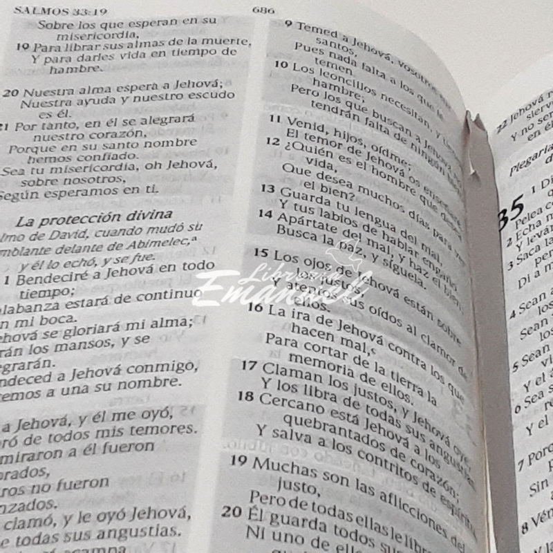 Biblia de Promesas con Cierre Manual Letra Grande RVR1960 imit. piel purpura sin indice