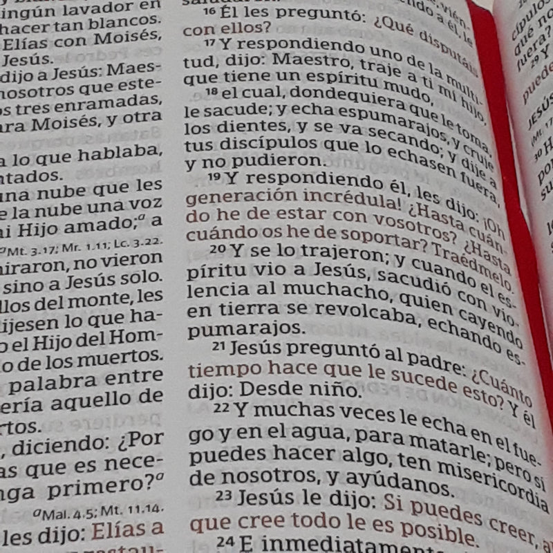 Santa Bíblia Con Concordancia y Palabras de Jesús en Rojo