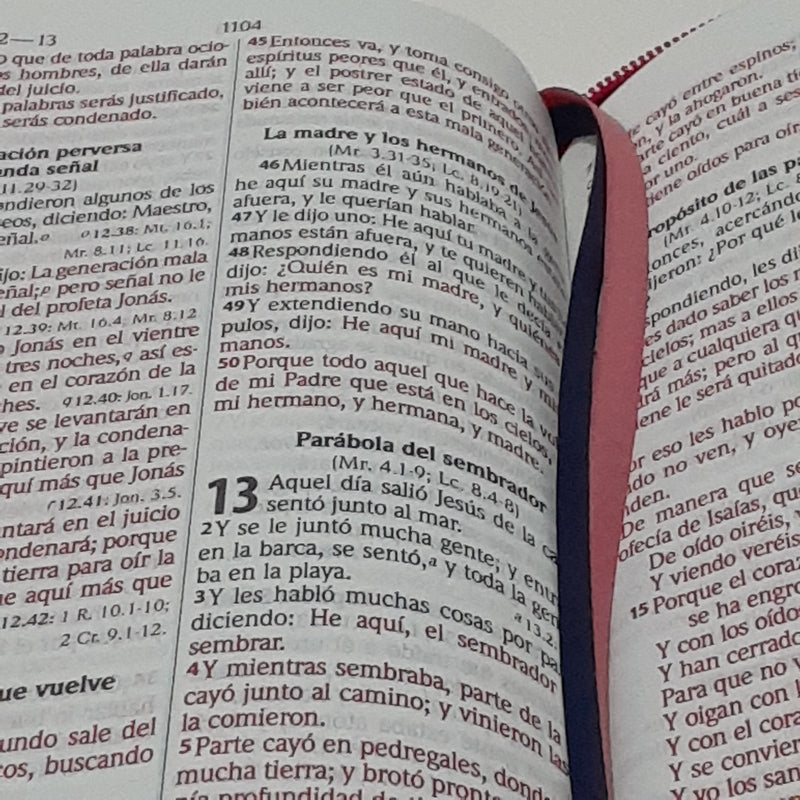 Santa Bíblia Con Concordancia y Palabras de Jesús en Rojo