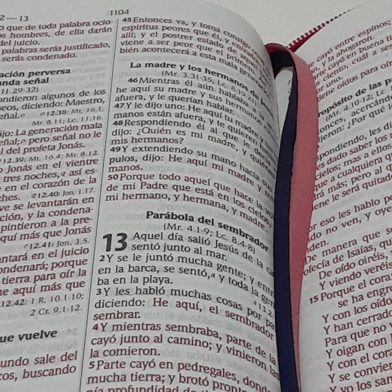 Santa Bíblia Con Concordancia y Palabras de Jesús en Rojo