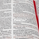 RVR 1960 Biblia Letra Grande Tamaño Manual con Referencias,