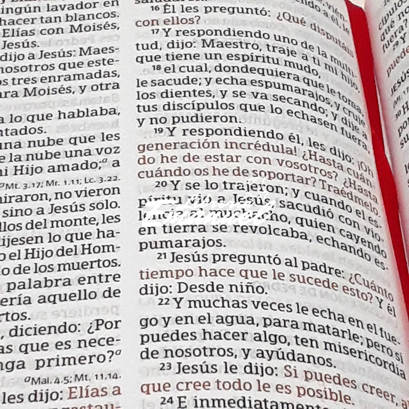 RVR 1960 Biblia Letra Grande Tamaño Manual con Referencias,