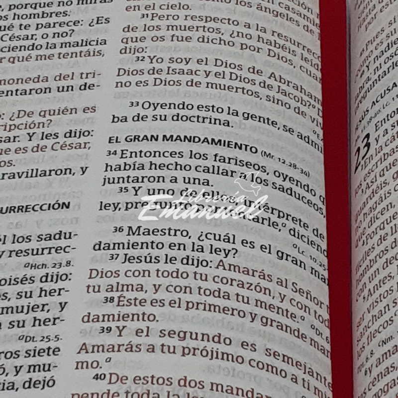 RVR 1960 Biblia Letra Grande Tamaño Manual con Referencias, mango/fresa/durazno claro símil piel