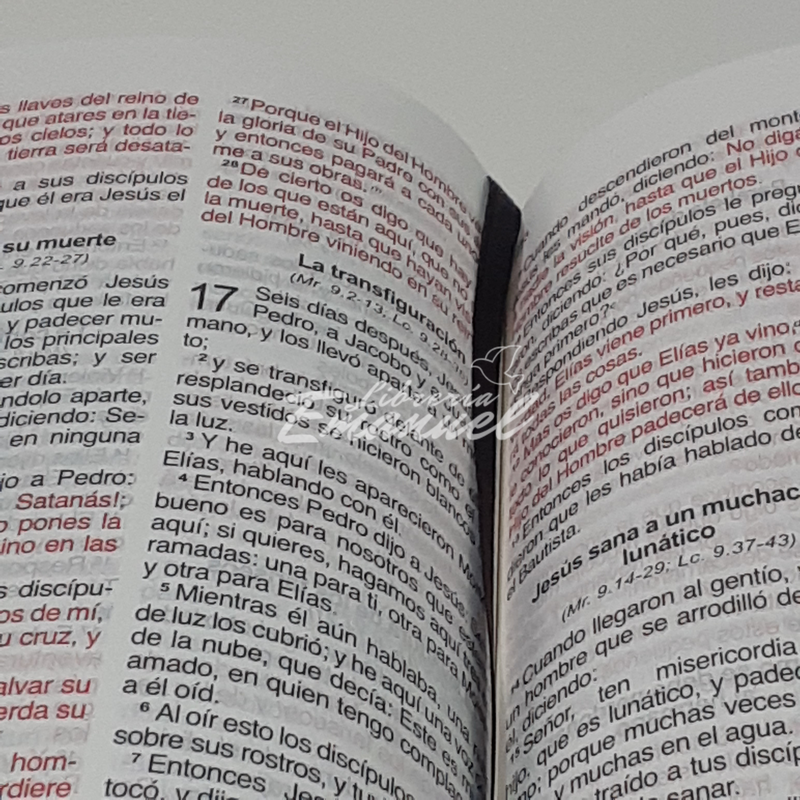 Biblia Letra Grande Tamano Manual Vinil Negro-rvr 1960