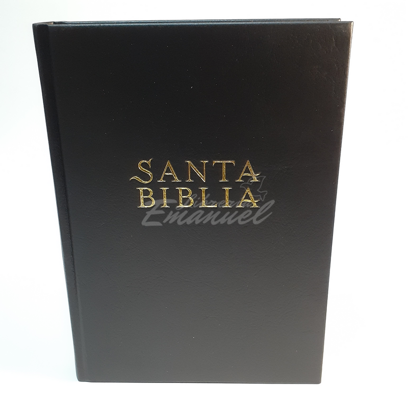 Santa Biblia NTV, Edición súper gigante indice
