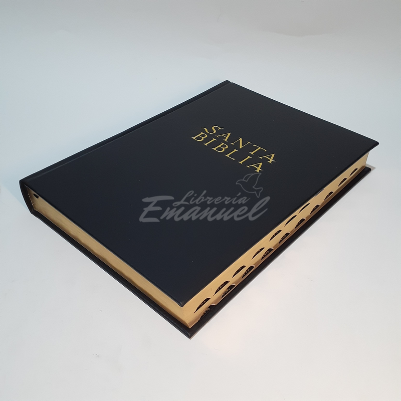 Santa Biblia NTV, Edición súper gigante indice