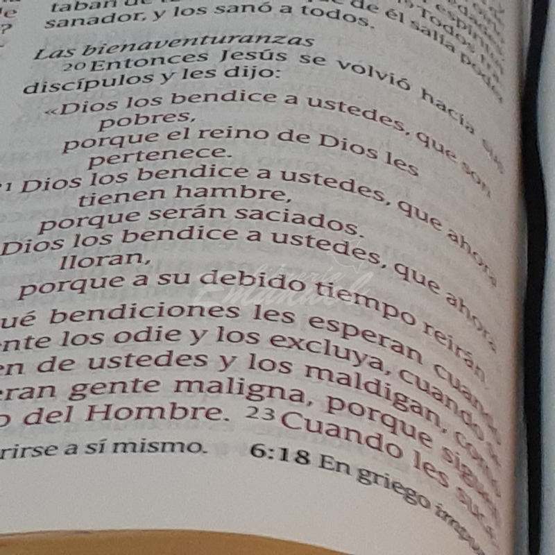 Santa Biblia NTV, Edición súper gigante indice
