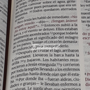 Santa Biblia NTV, Edición personal, letra grande (Letra Roja, SentiPiel, Rosa/Café, Índice)