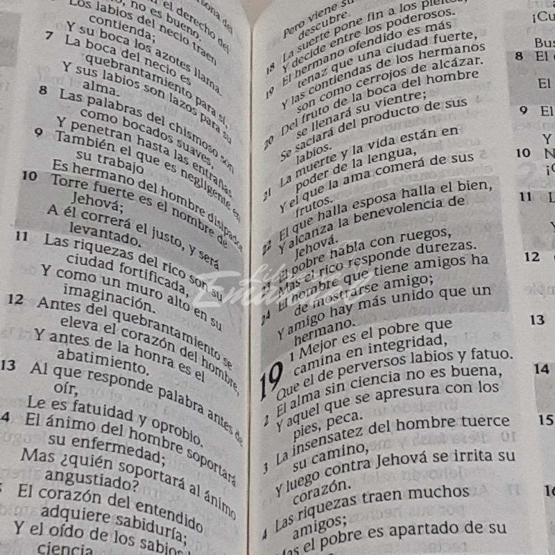 Biblia de niños / Tapadura / Compacta