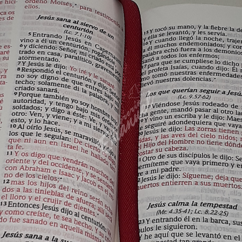Biblia RVR60 bolsillo vinilo vino con borde amarillo