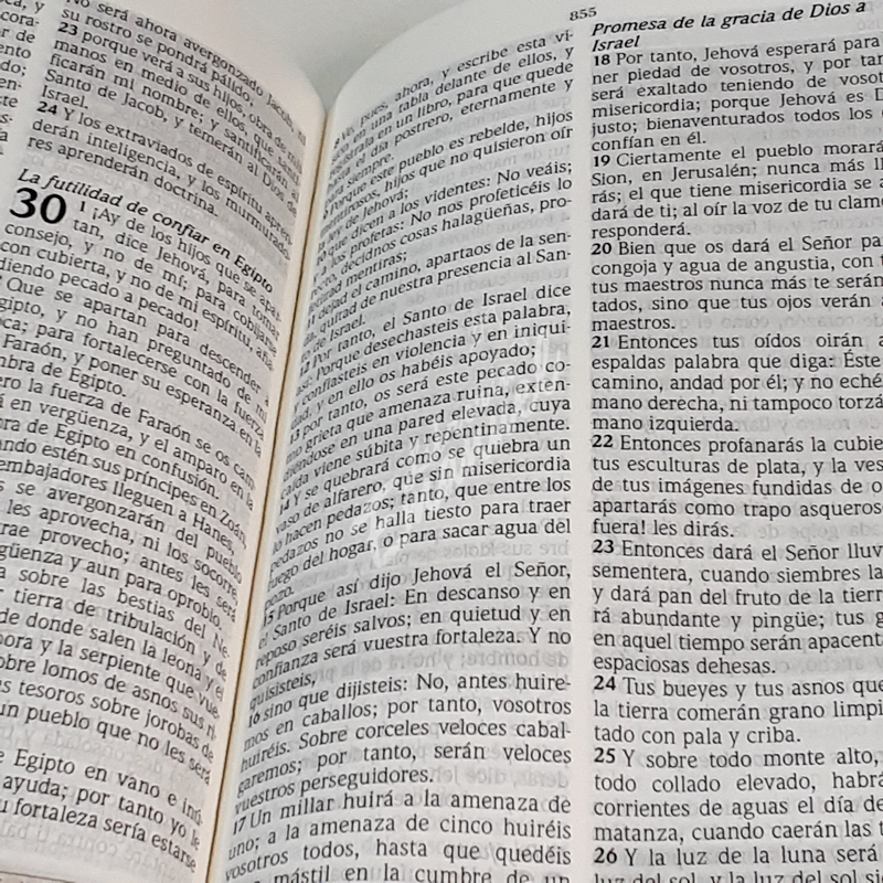 Biblia De Promesas Compacta Piel Especial Vintage Tamaño Bolsillo