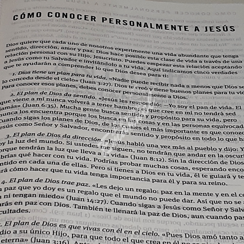 Santa Biblia NTV, Edición ágape, Flor (SentiPiel, Beige)