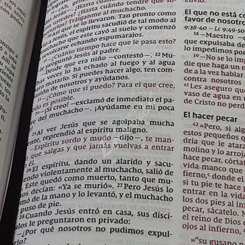 Santa Biblia NVI, Ultrafina, Café