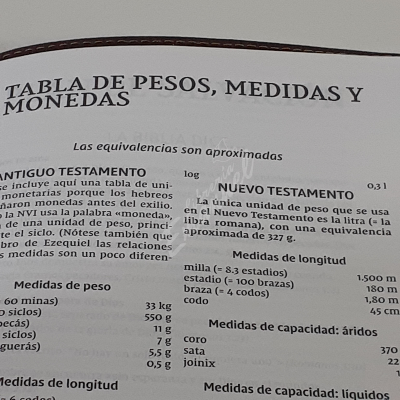 Santa Biblia NVI, Ultrafina, Café