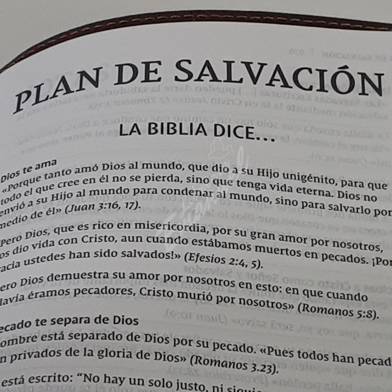 Santa Biblia NVI, Ultrafina, Café