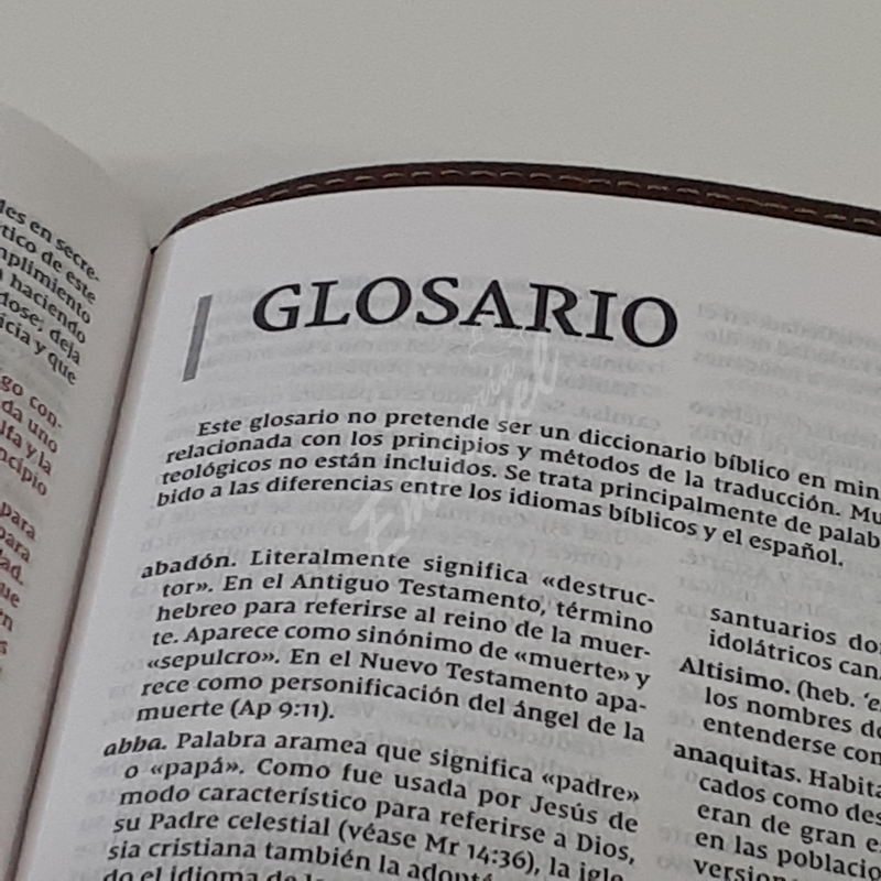 Santa Biblia NVI, Ultrafina, Café