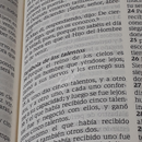 BIBLIA DE PROMESAS / LETRA GIGANTE / PIEL ESPECIAL FLORAL / CIERRE / con ÍNDICE