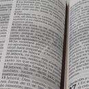 Biblia promesas letra grande RVR 1960 Cafe