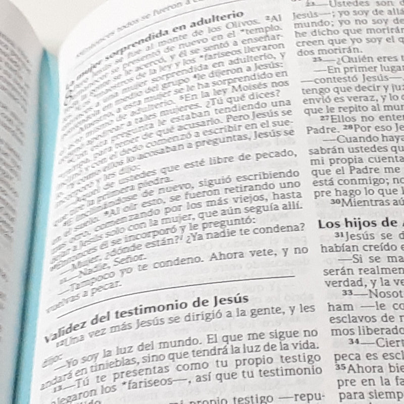 Biblia oraciones y promesas NVI Mujer