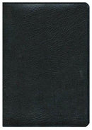 Biblia Plenitud Piel Negra