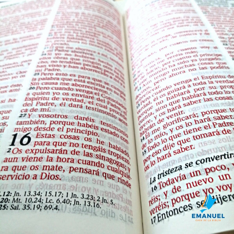 Santa Biblia Tamaño Manual Letra Grande /Negro RVR1960
