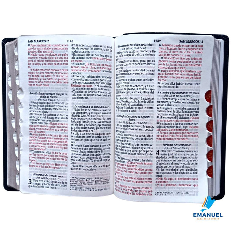 Santa Biblia Tamaño Manual Letra Grande /Negro RVR1960