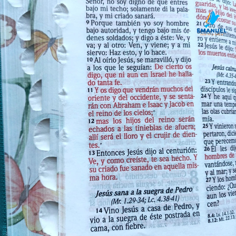 Biblia RVR60 Tamaño manual letra grande cierre/índice turquesa / mariposas con canto pintado