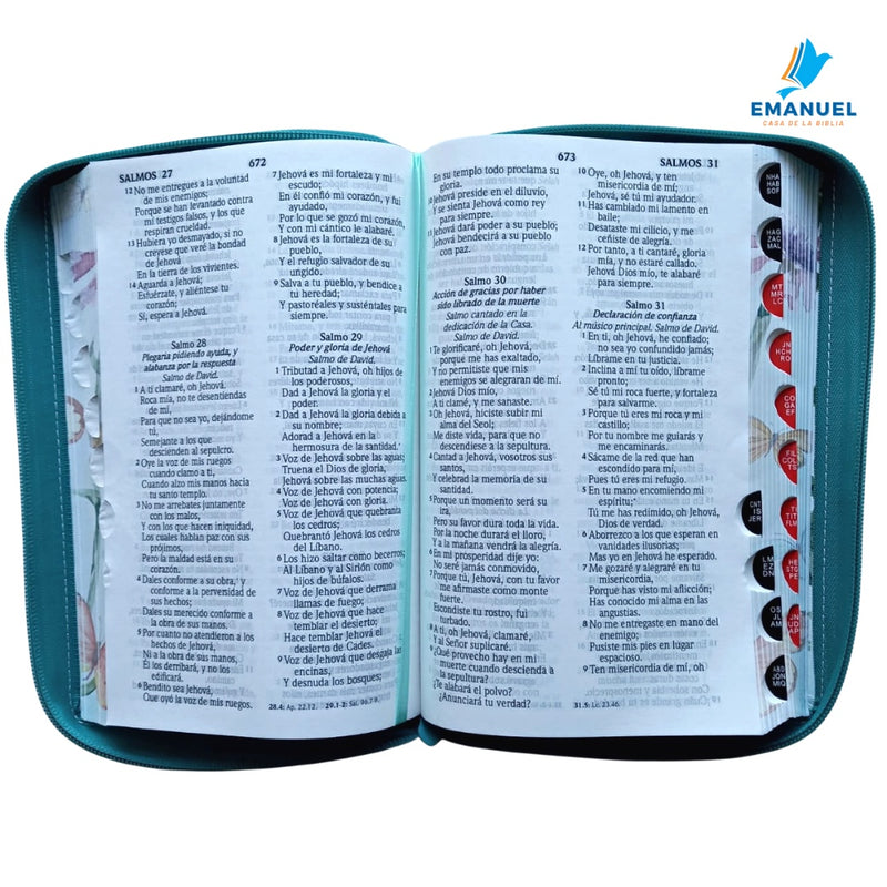 Biblia RVR60 Tamaño manual letra grande cierre/índice turquesa / mariposas con canto pintado