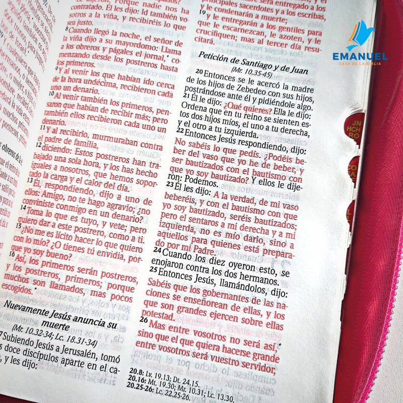 Biblia Tamaño Bolsillo RVR1960 Letra mediana con cierre / rosa mariposas