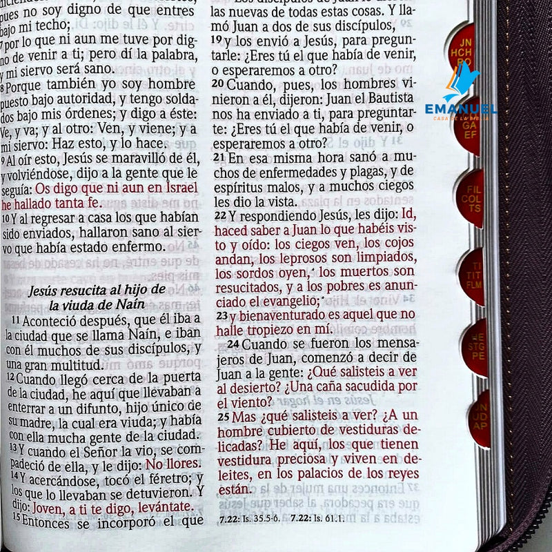 Biblia Tamaño Portátil RVR1960 Letra mediana con cierre / marrón /marrón con espada