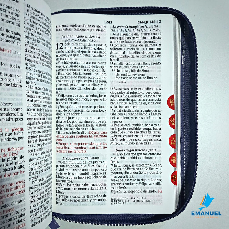 Biblia RVR60 Tamaño manual letra grande cierre/índice lila/lila con corazones