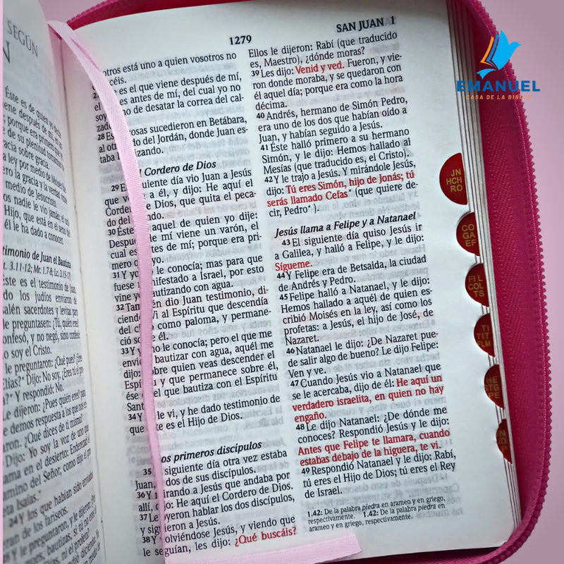 Biblia Tamaño Bolsillo RVR1960 Letra mediana con cierre / Rosa corazones