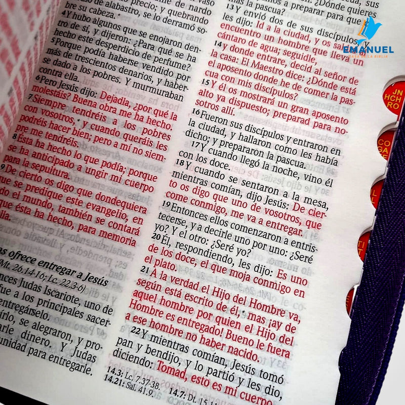 Biblia Tamaño Portátil RVR1960 Letra mediana con cierre / lila con franja de hojas