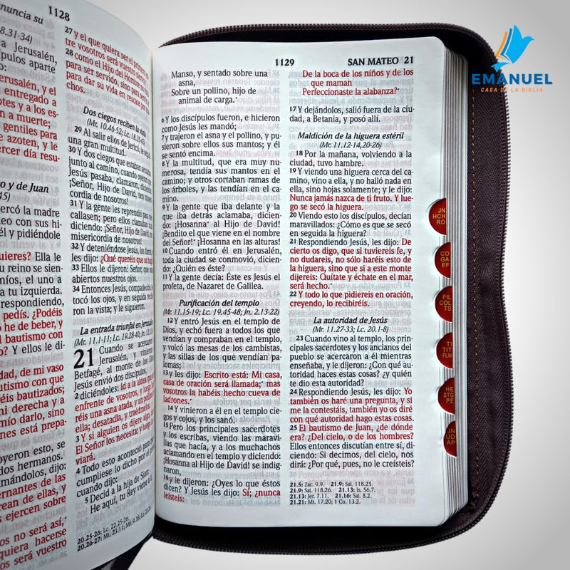 Biblia RVR60 Tamaño manual letra grande cierre/índice cruz café/café