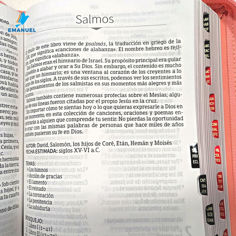 Biblia Letra Grande Tamaño Manual con referencias  / Coral RVR1960