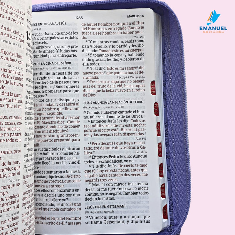 Biblia Letra Grande Tamaño Manual con referencias / Morado RVR1960