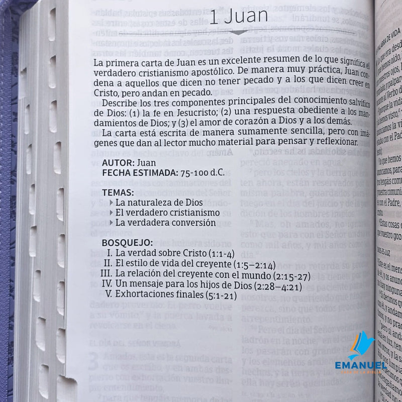 Biblia Letra Grande Tamaño Manual con referencias / Morado RVR1960